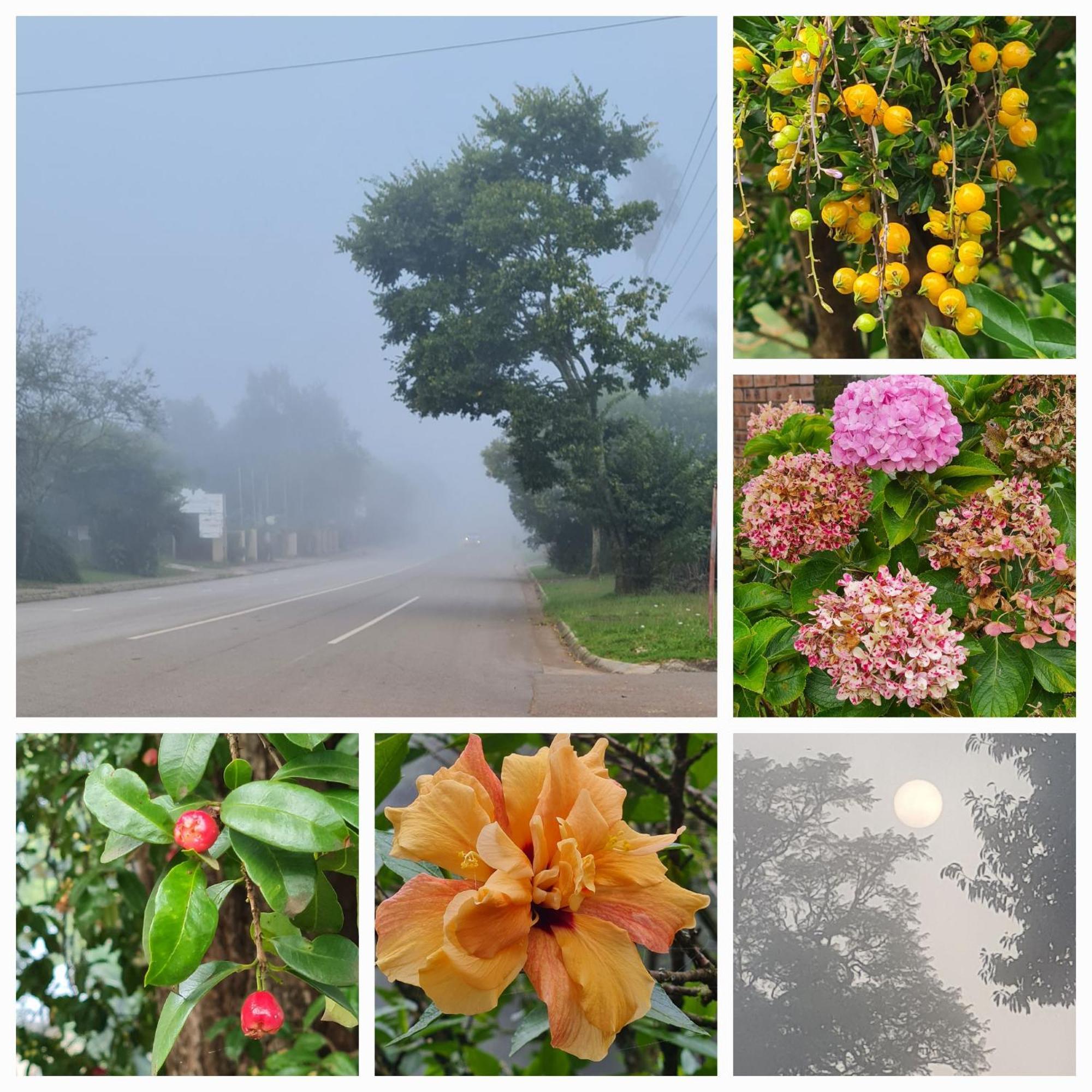 Mosswood Bed & Breakfast Граскоп Екстер'єр фото